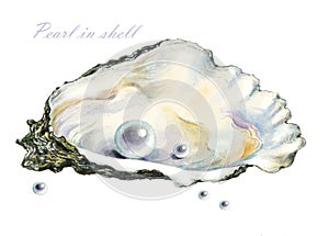 Several of the pearls in the pearl shell
