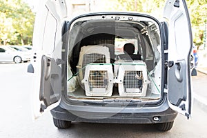 Several pets airlines carriers in a car, ready for tranportation photo