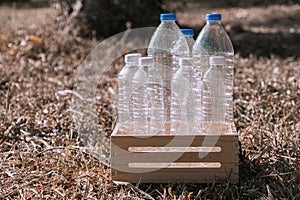 Several plastic water bottles are placed in a wooden crate for recycling on dry grass in a natural forest