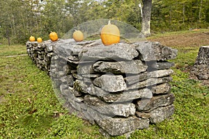 Several pumpkins on a stone wall