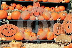 Several pumpkins tucked on straw-covered shelves photo