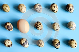 Several quail eggs and one chicken egg on a blue background. a regular pattern. space for text