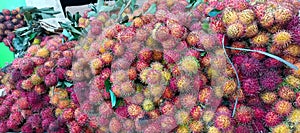 Several rambutan fruits on display