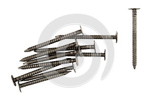 Several ring shank underlayment nails on a white background photo
