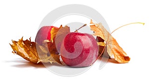 Several ripe juicy red apples with autumn leaves on isolated background