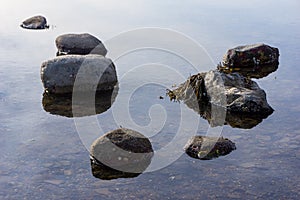 Several rocks and seaweed surrounded by calm seawater on the coast of Maine in the summertime