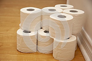 Several rolls of toilet paper