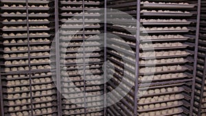 Several rows of meat dumplings with meat on trays, close-up