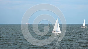 Several sail boats moving across sea on clear sunny day, cargo ships on horizon