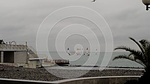 Several sailing boats compete at sea, numbered with colorful numbers