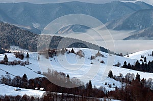 Several small houses on a hill among snow-capped mountains covered with forest.