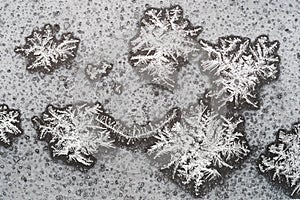 Several snowflakes on window glass close up