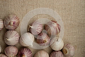 Several solo garlic on textile background flat lay