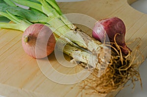 Several stems of onion plants and several whole red onions