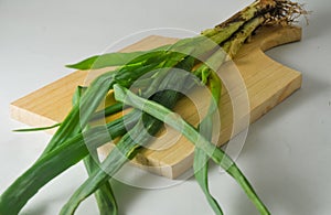 Several stems of onion plants with their roots and leaves