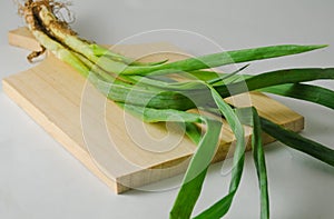 Several stems of onion plants with their roots and leaves