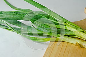 Several stems of onion plants with their roots and leaves