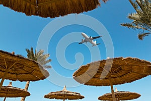 Several straw beach umbrellas and a airplane