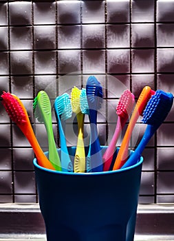 Several toothbrushes of different colors in a brush cup.