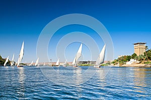 Several Traditional Nile Feluccas