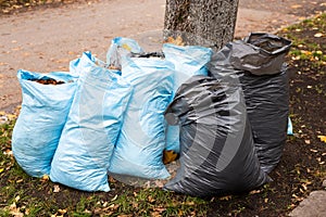 Several trash bags with fallen leaves on the street.