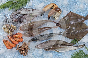 Several type of fresh fish on a mediterranean seafood market on ice over blue background