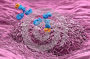 Monoclonal antibody treatment in Liver cancer - closeup view 3d illustration photo