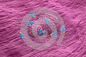 Monoclonal antibody treatment in Liver cancer - isometric view 3d illustration photo