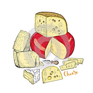 Several types of cheese together. Vector sketches hand drawn