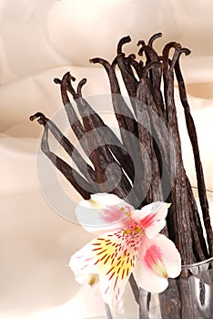 Several vanilla beans in a glass with flower
