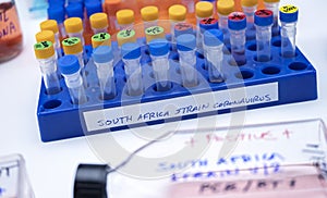 Several vials positive for covid-19 infection of the new variant in the south africa