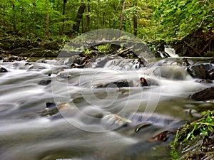 Several waterfalls cascade through the lush forest