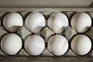 Several white eggs in an egg carton