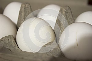 Several white eggs in an egg carton