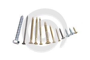 Several wood screws different sizes, shape, design and purpose