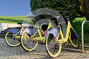 Several yellow bicycles stand in a row