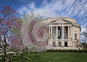 Severance Hall cherry blossoms