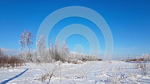 Severe Russian winter snowy landscape, frosty day