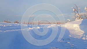 Severe Russian winter snowy landscape, frosty day