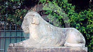 Severe stone lion in the Park