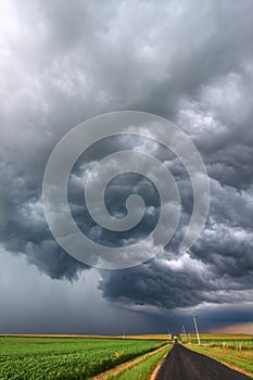 Severe Thunderstorm in Illinois