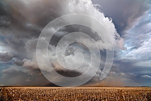 Severe thunderstorm with wind and blowing dust