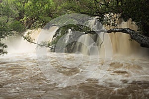 Severely swollen Lower Twin Falls