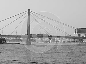 Severin Bridge in Koeln, black and white