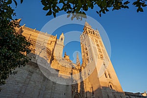 Sevilla Cathedral (Catedral de Santa Maria de la Sede), Gothic style