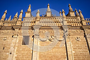 Sevilla Cathedral facade, Andalusia, Spain