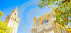 Sevilla Cathedral and Giralda tower