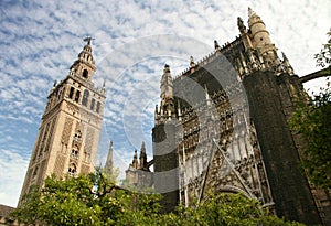 Sevilla Cathedral and the tower Giralda Spain photo