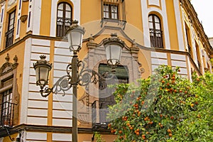 SEVILLA, SPAIN -MARCH 03, 2022 : historic center of Seville, Plaza Virgen de los Reyes