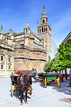 Seville